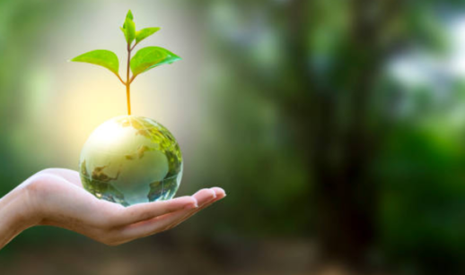 Crescimento sustentável