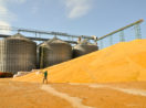 Montanha de milho ao lado de silos