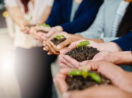 Mãos de investidores de empresas sustentáveis segurando brotos de árvore