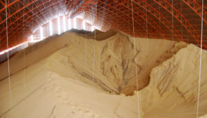 Soja para exportação