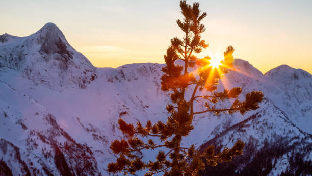 Sol nascendo em um dia de inverno no Canadá