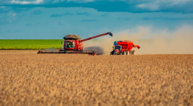 Colheitadeiras de soja no campo