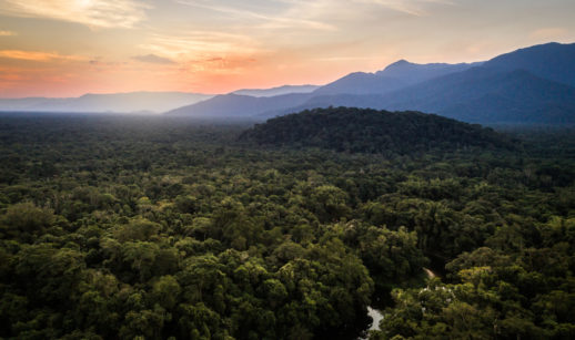 Paisagem de florestas, em alusão aos hectares que serão protegidos pela Vale