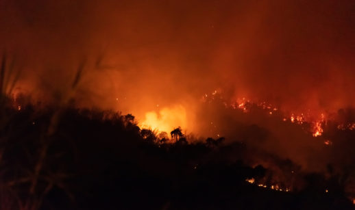 Queimada na floresta