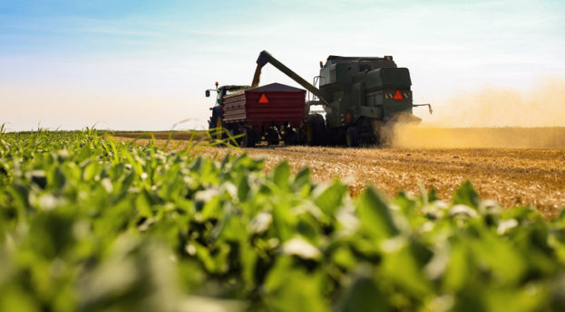 colheita de soja