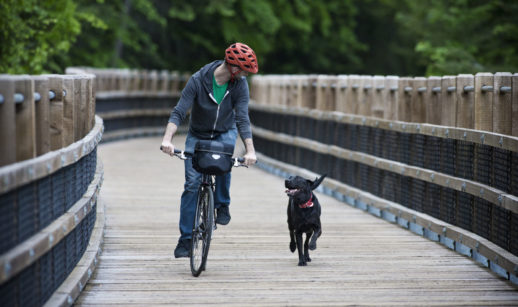 Homem andando de bicicleta com capacete vermelho e cachorro preto ao lado correndo, alusivo a uma viagem de férias com mais tranquilidade devido ao seguro-viagem