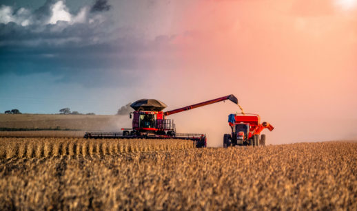 Colheitadeira e caminhão em meio à plantação de grãos, alusivo à previsão de safra recorde da Conab