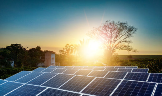 Painéis de geração de energia solar com pôr do sol ao fundo e silhueta de árvore