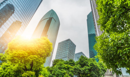 Perspectiva de baixo para cima de árvores e prédios espelhados, alusivo às FIDCs que investem em sustentabilidade