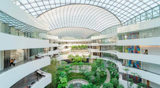 Einstein Divulgação