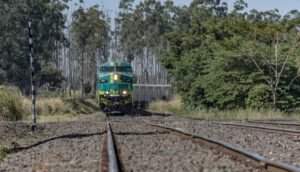 Transportes analise Safra