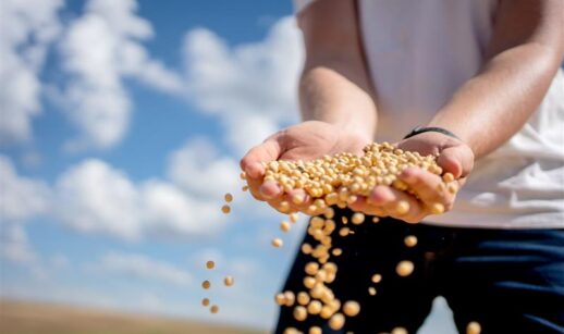 O crescimento do PIB foi puxado pela agropecuária. Foto: Getty Images