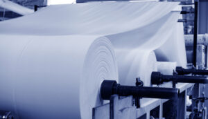 Safra papel e celulose análise