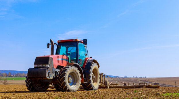 Ricardo leite safra 25 26