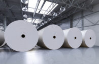 papel e celulose
