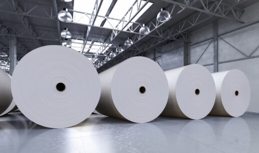 papel e celulose