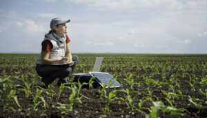 IA no agronegócio