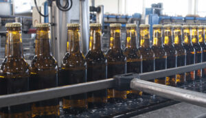 Safra cerveja