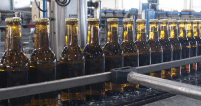 Safra cerveja