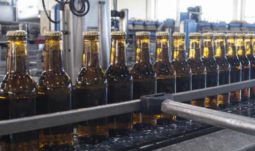 Safra cerveja