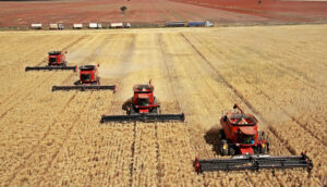 Agronegócio plano safra