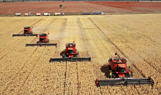 Agronegócio plano safra